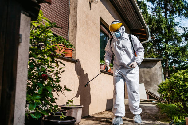 Best Pest Removal Services  in Woodson Terrace, MO