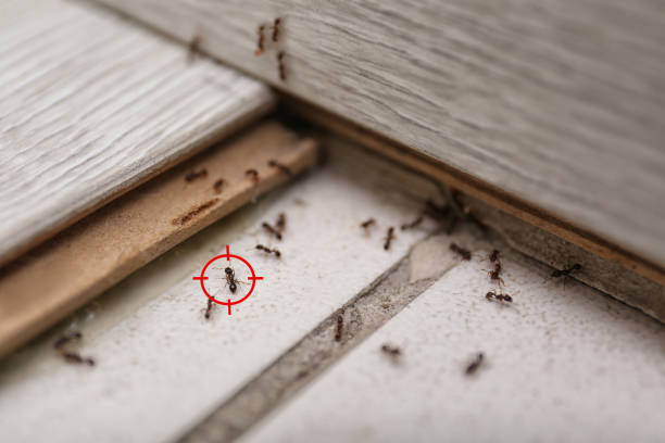 Woodson Terrace, MO Pest Control Company