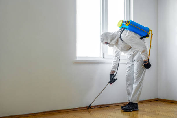Wildlife Control Services in Woodson Terrace, MO