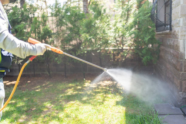Flea Control Services in Woodson Terrace, MO