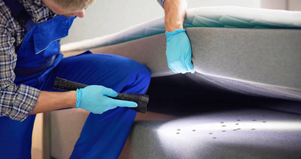 Best Bed Bug Extermination  in Woodson Terrace, MO