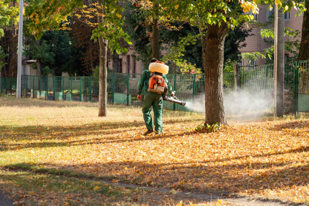 Best Best Pest Control Companies  in Woodson Terrace, MO