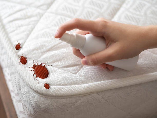 Best Best Pest Control Companies  in Woodson Terrace, MO
